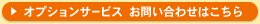 �I�v�V�����T�[�r�X���₢���킹�͂�����